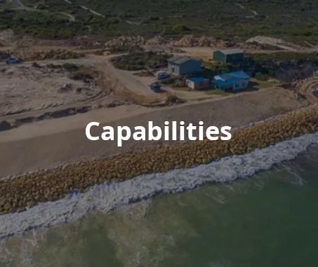Capability