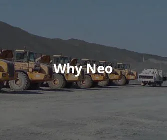 Why Neo